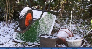 How To Prepare Your Garden for Winter