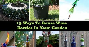 13 Ways To Reuse Wine Bottles In Your Garden