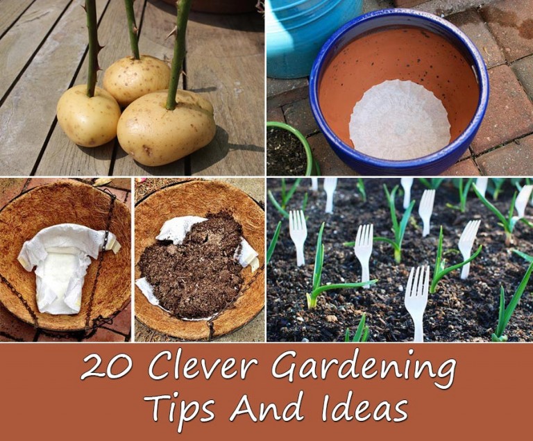 20 Clever Gardening Tips And Ideas - Home and Gardening Ideas