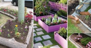 25+ Garden Bed Edging Ideas