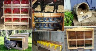 20 Do It Yourself Nesting Box Ideas