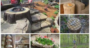 12 Ways To Repurpose Tree Stumps and logs