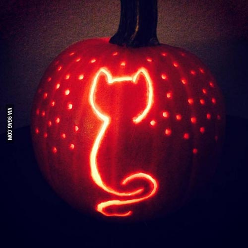 easy cat pumpkin painting