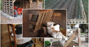 Pallet Projects for the Homestead