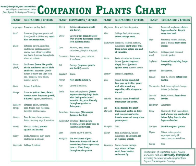 Printable Companion Gardening Chart