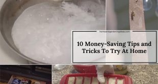 10 Money-Saving Tips and Tricks To Try At Home