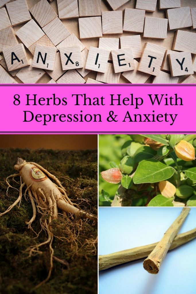 8 Herbs That Help With Depression & Anxiety - Home And Gardening Ideas