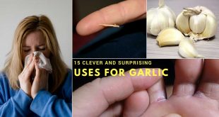 15 Clever and Surprising Uses for Garlic