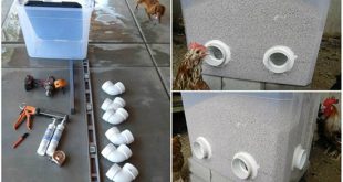 DIY Bulk Chicken Feeder