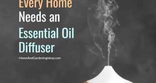 Every Home Needs an Essential Oil Diffuser