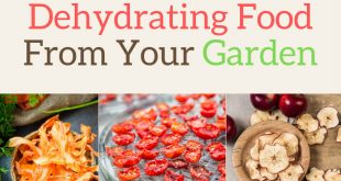 Guide to Dehydrating Food From Your Garden