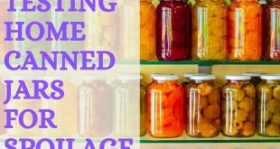 Testing Home Canned Jars for Spoilage