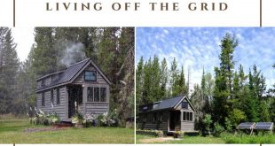 9 Tips for living off the grid