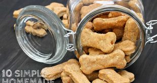 Homemade Dog Treat Recipes