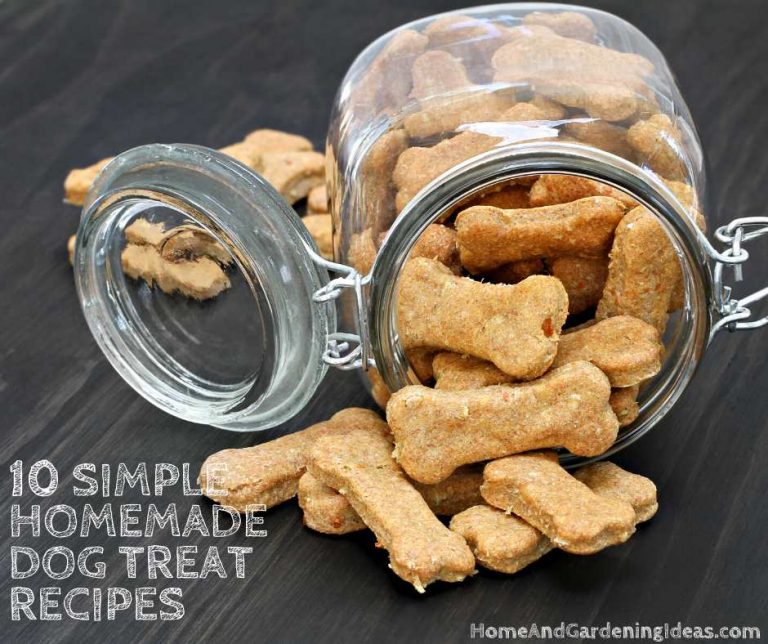 10 Simple Homemade Dog Treat Recipes - Home and Gardening Ideas