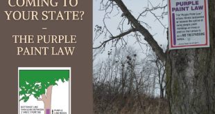 The Purple Paint Law