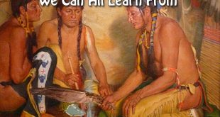 5 Native American Remedies We Can All Still Use Today