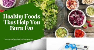 Healthy Foods That Help You Burn Fat