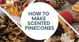 How to Make Scented Pinecones