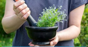 27 Medicinal Plants Worth Your Garden Space