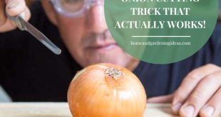 Onion-Cutting Hacks Unveiled