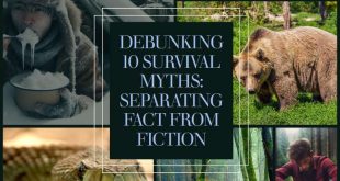 Debunking 10 Survival Myths: Separating Fact from Fiction