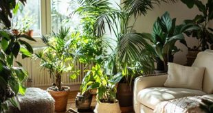 Houseplants That Improve Indoor Air Quality