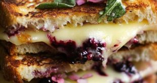 Blackberry and Brie Grilled Cheese Sandwich