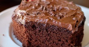 Double Chocolate Coca Cola Cake