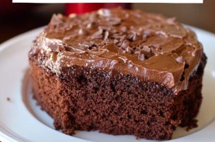 Double Chocolate Coca Cola Cake